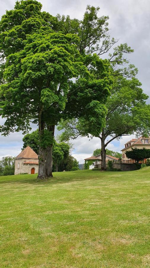 Saint-Victor-MontvianeixDomaine De Montvianeix住宿加早餐旅馆 外观 照片